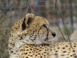 Tiergarten Schönbrunn am 23.03.2023